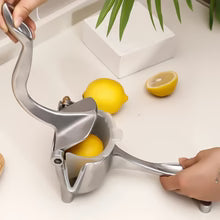 Stainless Steel Lemon Juicer
